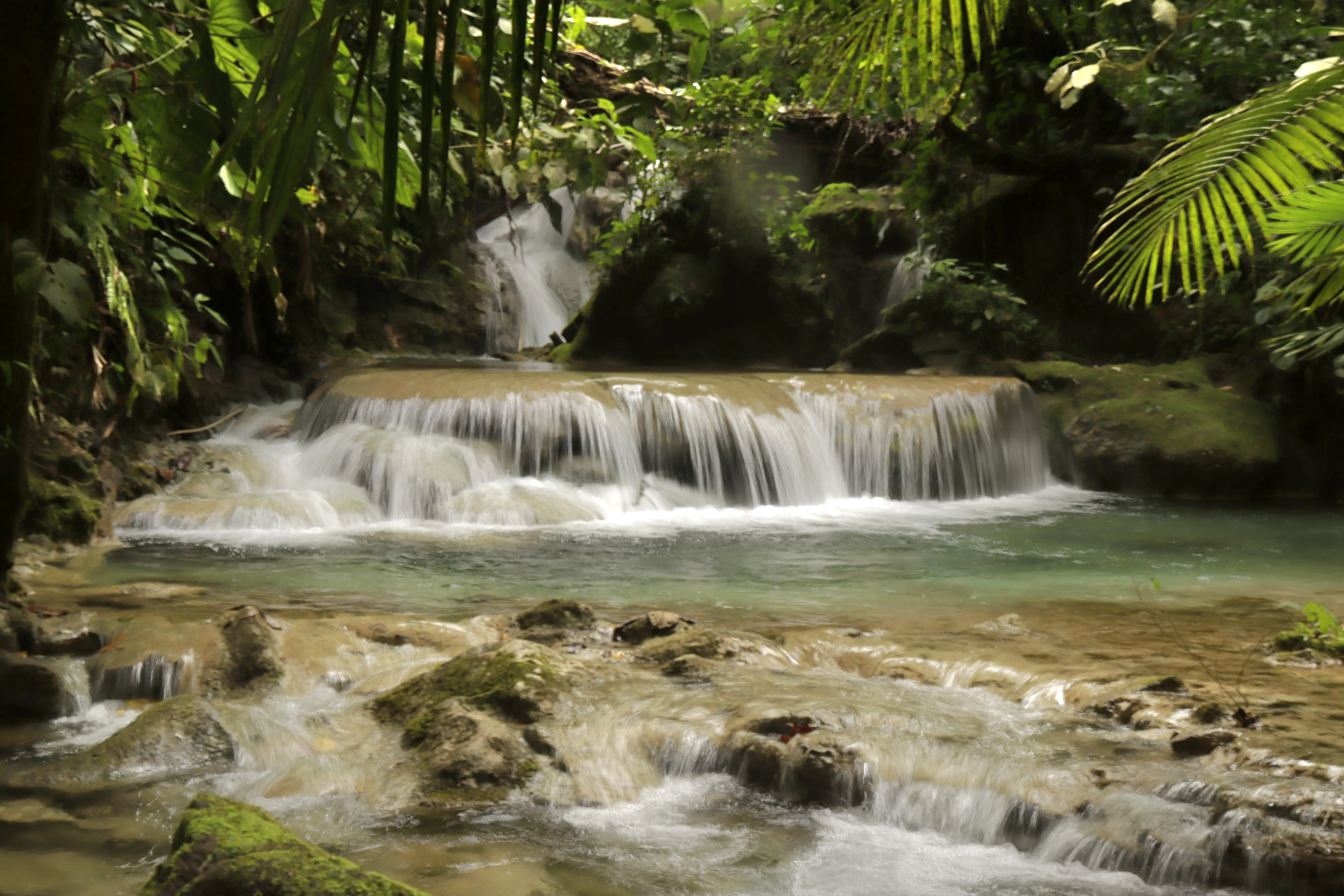 Caracol en Costa Rica